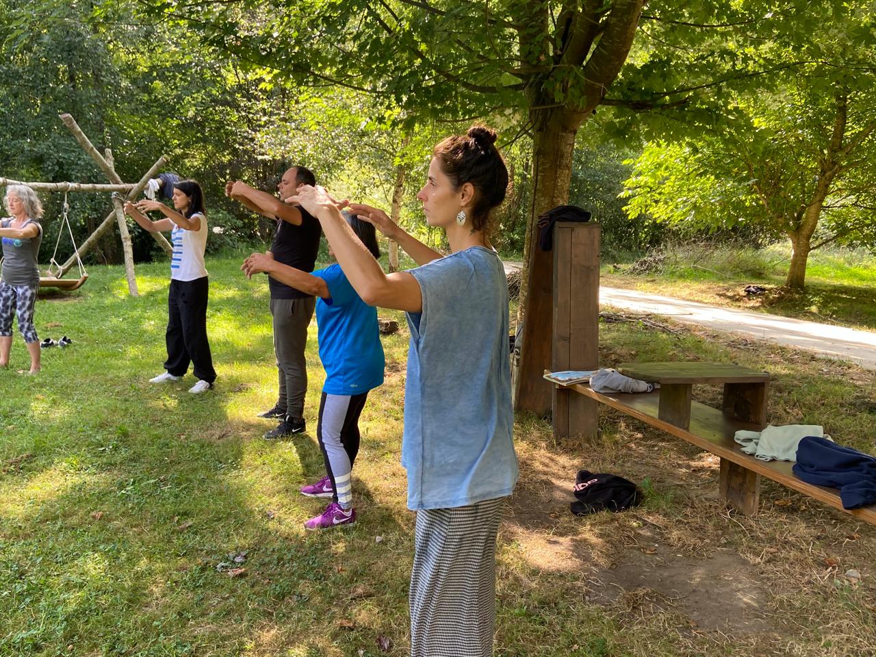 Pratique de qigong sous les arbres