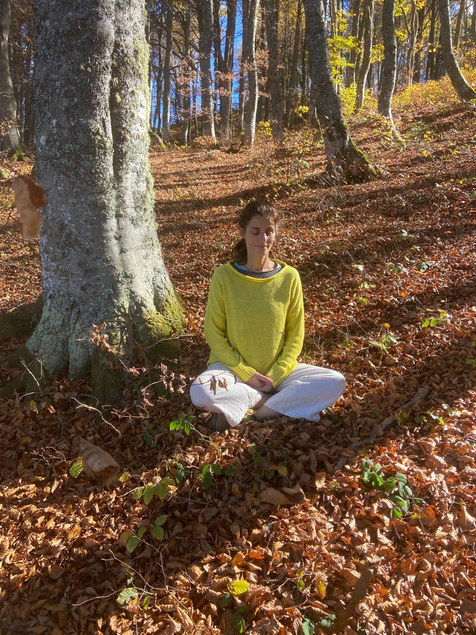Méditation assise dans la forêt d'automne