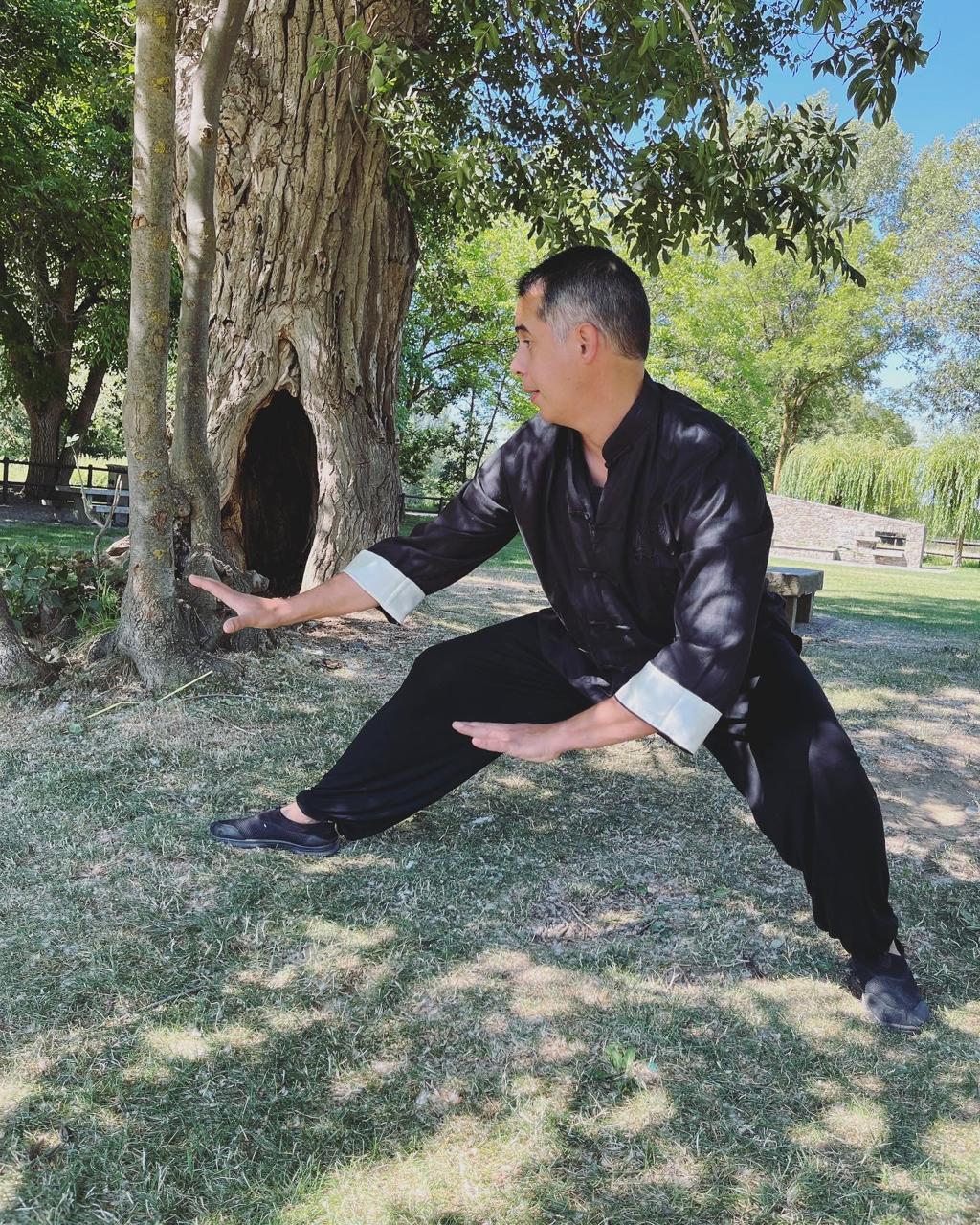 Pratique d'arts internes auprès d'un arbre
